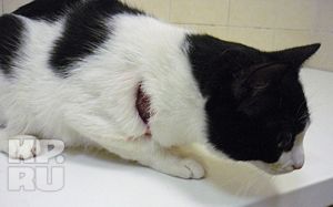 ��������� ����� ������ ��������� ������